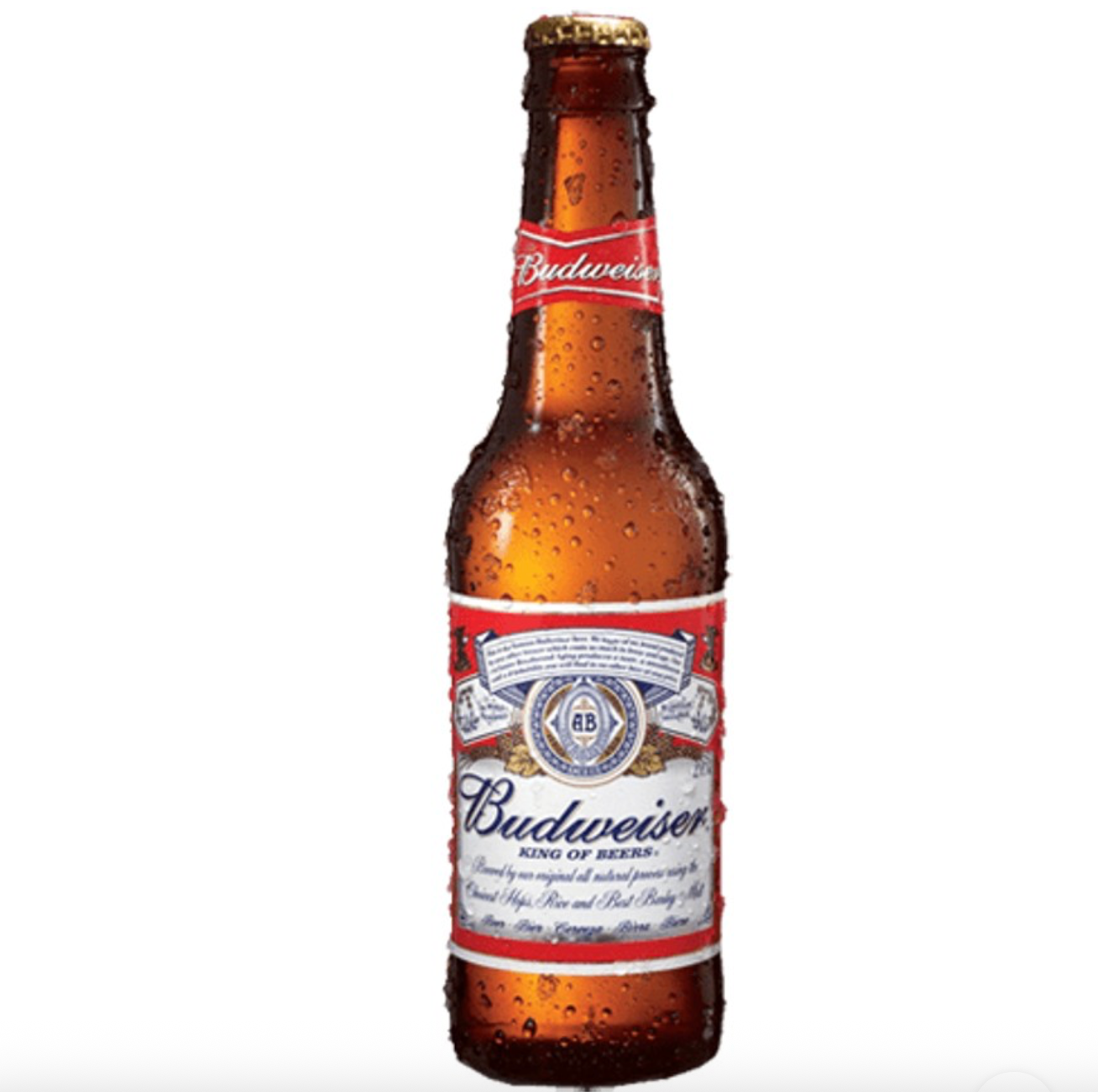 BUD (bière blonde 33cl)